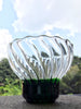 Amara votive
